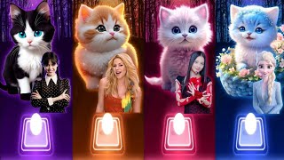 Cute Cats Songs | Wednesday Bloody Mary |Shakira Waka Waka | Jisoo Flower | Elsa Enemy | Cats Covers