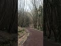 #naturesounds