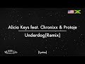 Alicia Keys feat. Chronixx & Protoje - Underdog (Remix) (Lyrics)