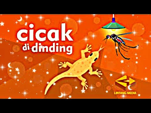 Lagu cicak cicak di dinding dalam bahasa inggris