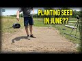Planting Grass Seed In JUNE?!? // How To Plant Buffalo Grass From Seed