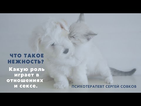 Что такое нежность? Какую роль нежность играет в отношениях и сексе мужчины и женщины