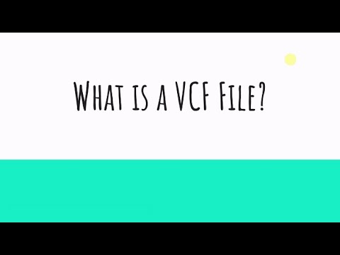 Bioinformatics101 - What is a VCF File?