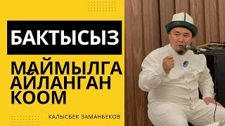 Калысбек Заманбеков: Бактысыз маймылга айланган коом | лидер умра 2023