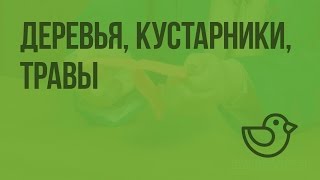 видео Кусты и деревья