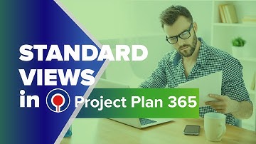 Project Plan 365 - Standard Views