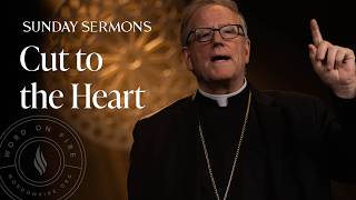 Cut to the Heart - Bishop Barron's Sunday Sermon