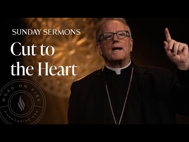 Cut to the Heart - Bishop Barron's Sunday Sermon