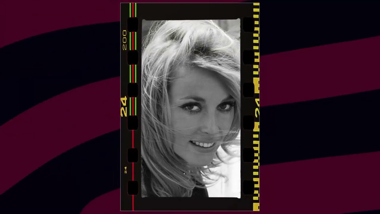 You Won't Believe the Shocking Secrets of Shampoo Movie