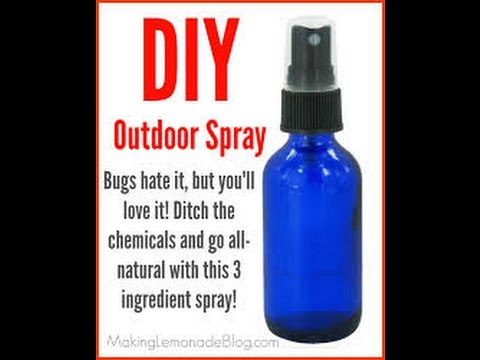 9 Bug md ideas  household cleaning tips, diy bug spray, diy home cleaning