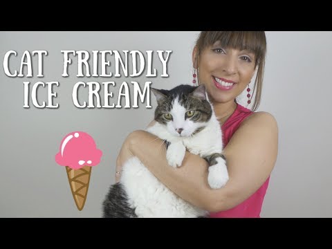 Cat Friendly Ice Cream ??