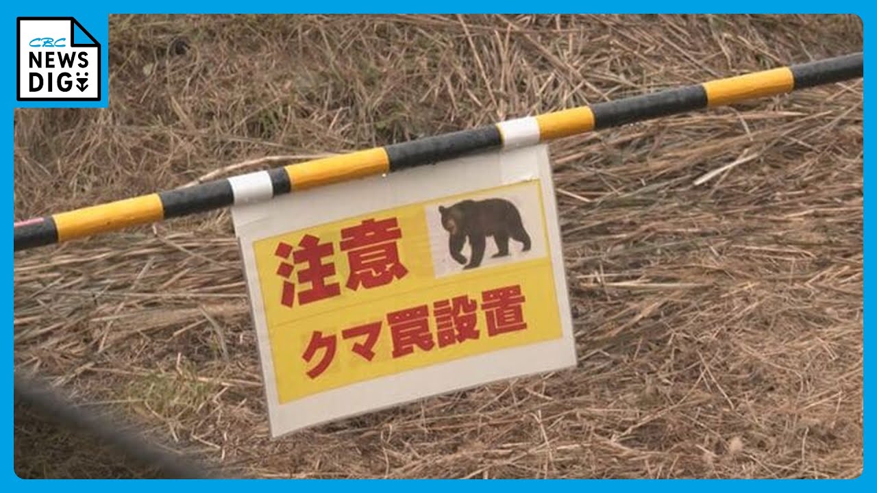 Teacher reports seeing bear, 