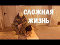 ДЕНЬ ДОБРОТЫ! НЕПРОСТАЯ ЖИЗНЬ У НАС! ПЕНСИОНЕРЫ В РОССИИ! РАЗДАЛИ БЕСПЛАТНО! СТАРОСТЬ НЕ РАДОСТЬ.