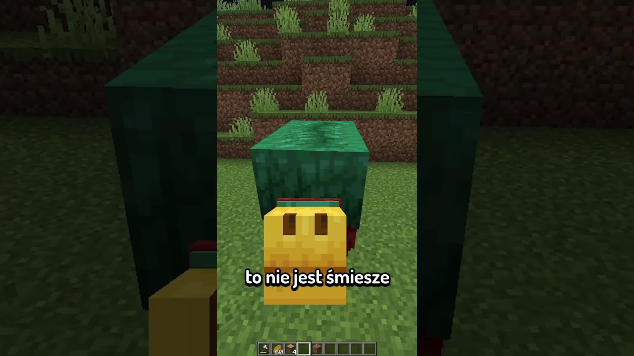 MINECRAFT ALE KONTROLUJECIE MNIE