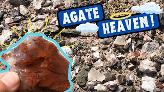 Rockhounding for Crazy Pigeon Blood Agates in Utah!