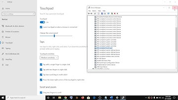 How to Enable and Disable Pinch to Zoom on Windows 10, Can