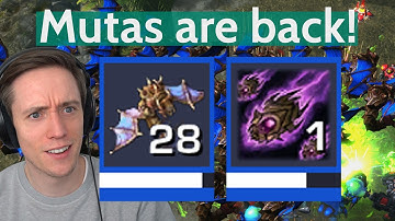 Blizzard Buffed Mutas. Big Mistake!