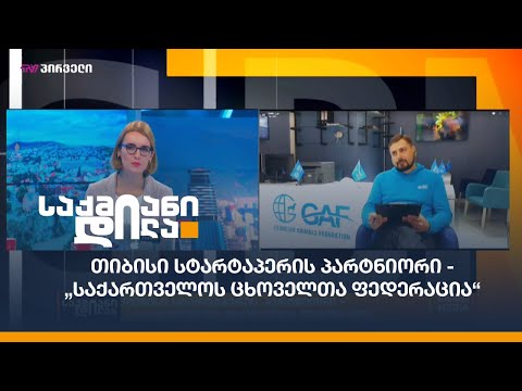 თიბისი სტარტაპერის პარტნიორი - „საქართველოს ცხოველთა ფედერაცია“