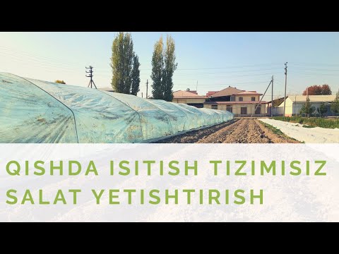 Video: Biz Qishga Tayyorgarlik Ko'rishni Davom Ettirmoqdamiz