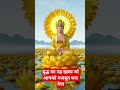 बुद्ध का वह रहस्य जो आपको मजबूत बना देगा bhudh bhakti video bhudh story video #shortvideo