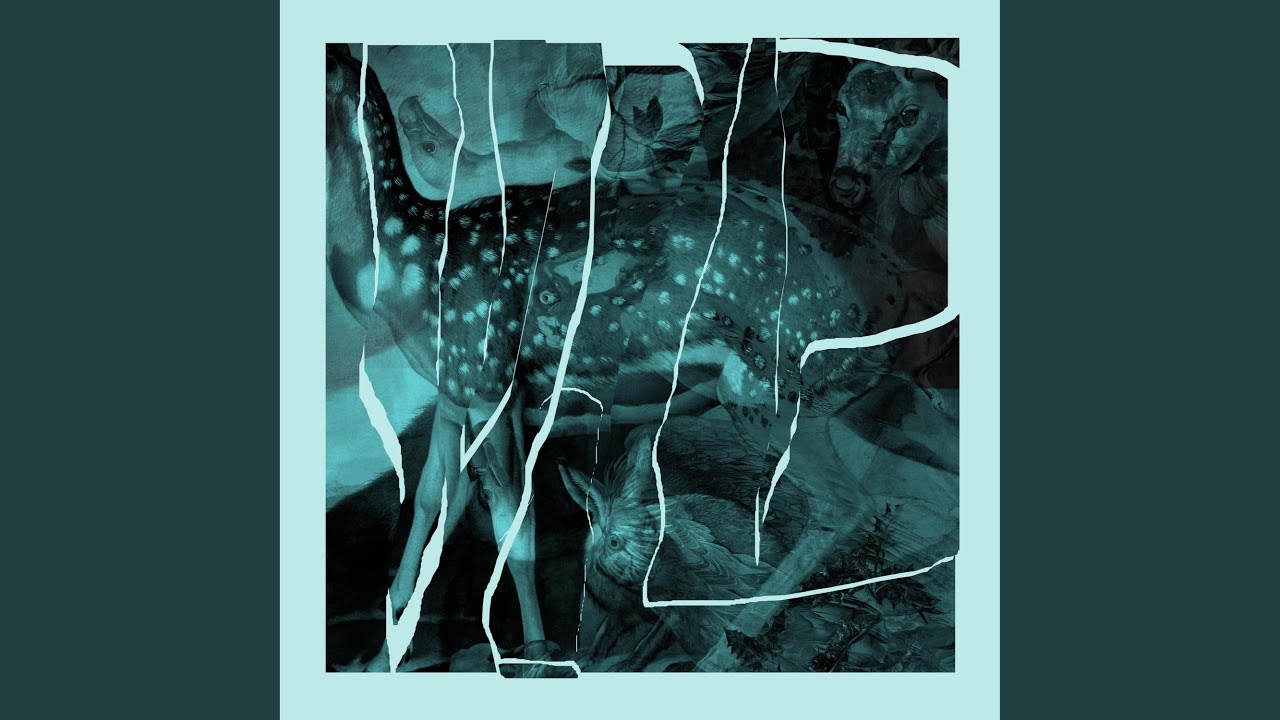 Watch Whale Fall on YouTube Watch Whale Fall on YouTube
