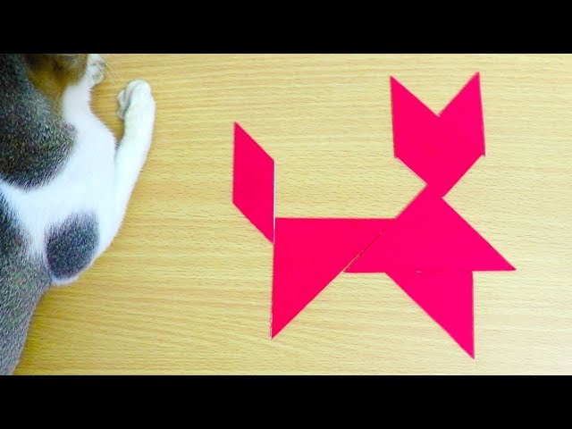 Tangram Sitting Cat Shape and Solution