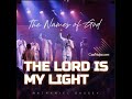 The Lord is my light (Psalm:27) Instrumental Lyrics By Nathaniel Bassey