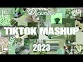 Tiktok mashup december 2023 not clean