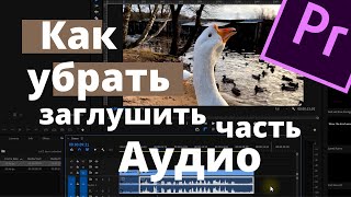 Как убрать, заглущить часть Аудио в Premiere Pro