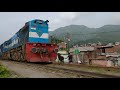 Train Accident Animals Train Accident Animals