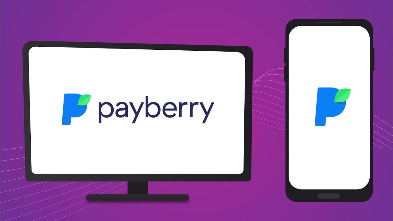 Payberry steam промокод. PAYBERRY. Карта PAYBERRY. PAYBERRY лого. Пэйберри оплата.