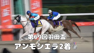 【現地撮影】第69回羽田盃（JpnⅠ）アンモシエラ本当に惜しい2着‼️