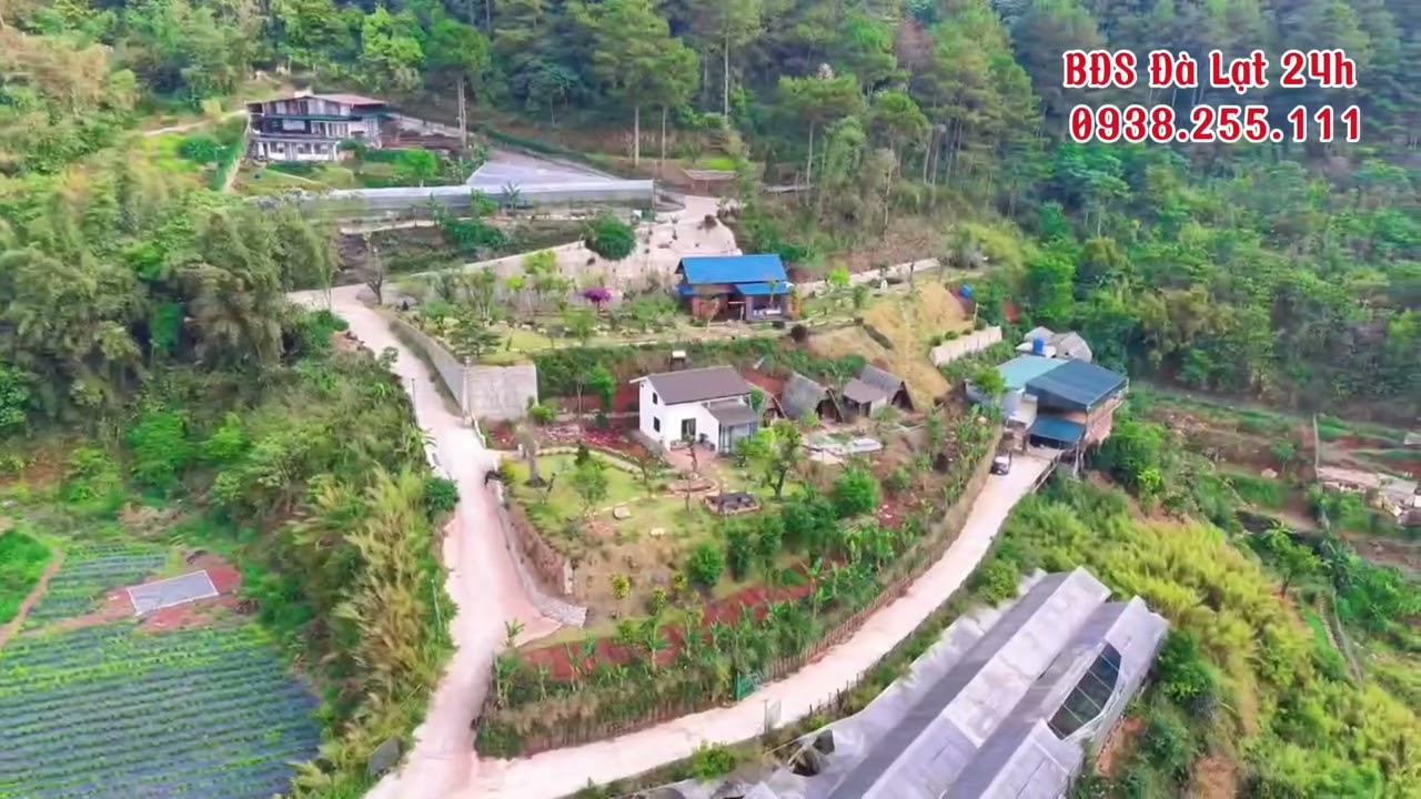 Cần bán gấp Homestay view tuyệt đẹp khu Làng Hoa Vạn Thành, Đà Lạt 4000m2 ( BĐS Đà Lạt )