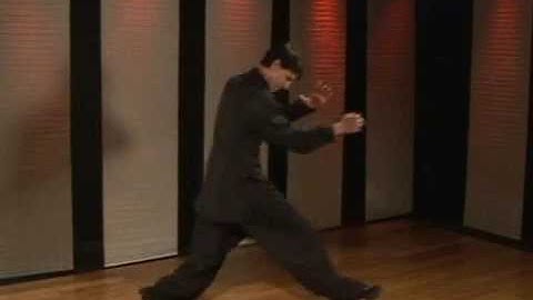 Praying Mantis Kung Fu: Palm Block Counter Punch