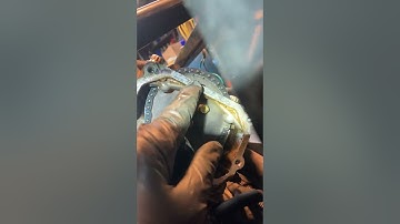 polaris ranger 500 camshaft timing nU%6glGxRlGcsAWJp5+X%A