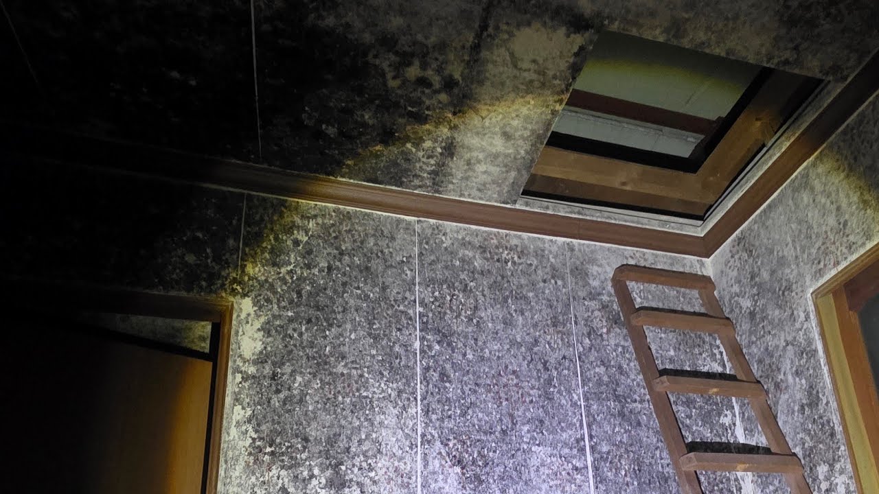 폐사찰 탐방 라이브#horror #귀신 #귀신소리 #귀신목소리 #흉가 #폐가 #녹음 #녹음기 #공포 #소름 #오싹#라이브 #live