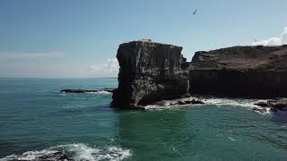 Kiwi Summer Muriwai Surf Profile