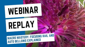 WEBINAR REPLAY: Macro Mastery: Focusing Rail and Auto Bellows Explained