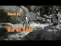 Animales del Zoo