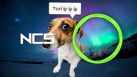 Turi Ip Ip Ip Except It Keeps Getting Faster Every 5 Seconds | NCS - Copyright Free Music
