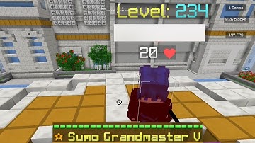 POV: You got hackusated by a sumo leaderboard player in Hypixel