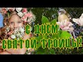 С Великой Троицей! 12 Июня Святая Троица! Красивое Поздравление с Троицей!