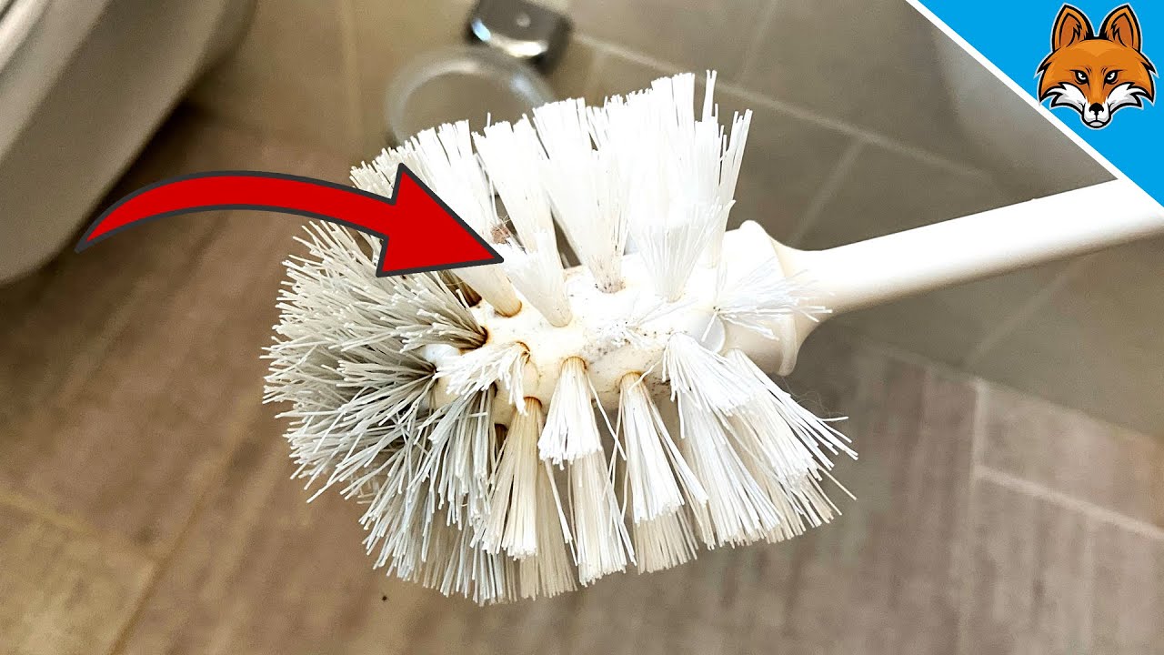 How To Clean The Toilet Brush And Holder