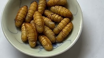 Buộc lưỡi câu như thế nào - How to tie a fishing hook