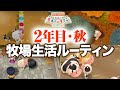 【牧場物語】2年目秋の牧場生活、一日のルーティン【Switch】【再会のミネラルタウン】