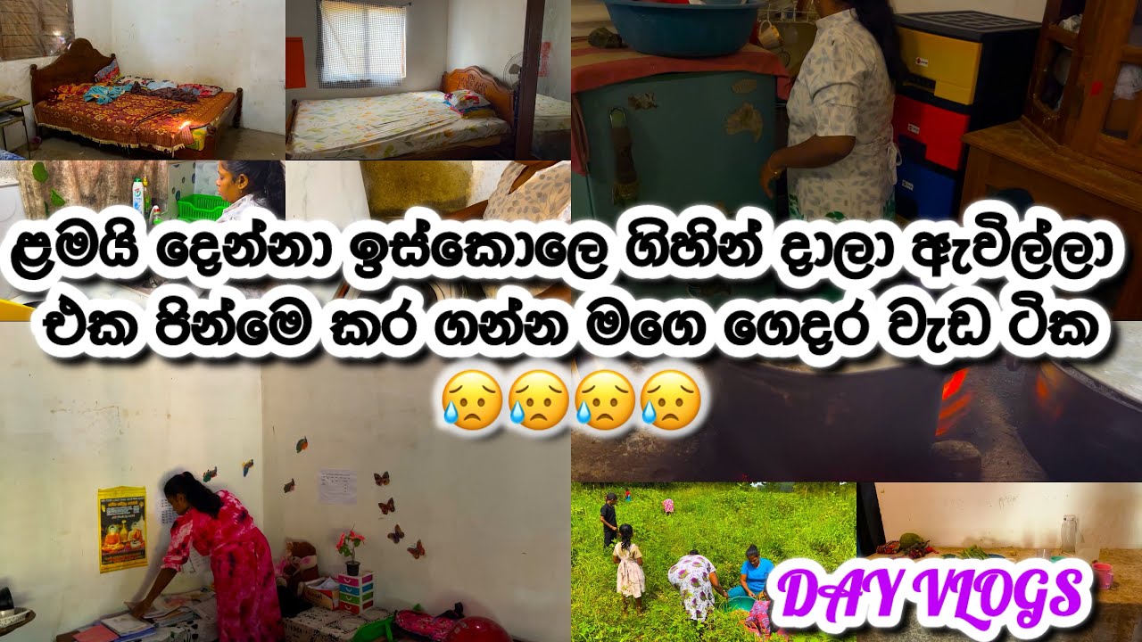 උදෙට දුවලා දෙන්නවා ඉස්කොලෙට ගිහින් දාලා ඇවිත් එක පිම්මෙ කර ගන්න මගෙ ගෙදර වැඩ ටික😥😥😥