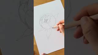Drawing a peony| TUTORIAL #watercolor #art #watercolorart #peony
