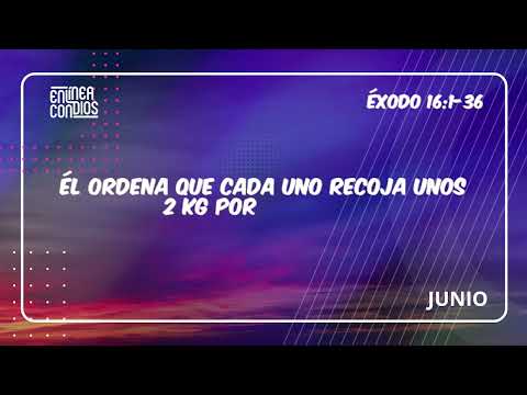 Día 14 - EL MANÁ DEL CIELO