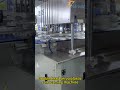 Double Head Can Sealer Machine, Automatic Dual Head Can Closing Machine
