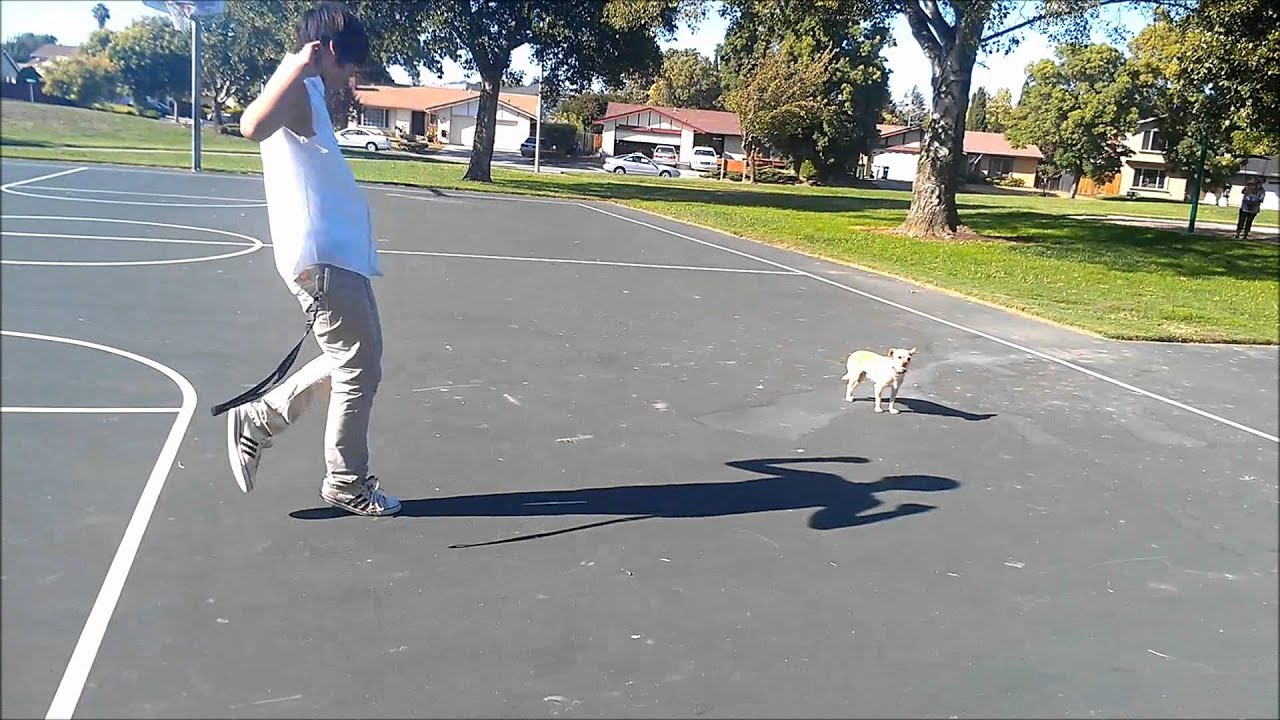 KiD Ak And KiD TyGa Jerkin Session